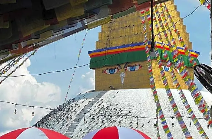 住宿加早餐酒店 博达哈大佛塔景观旅馆